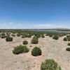 Photo of Mobile Home Lot