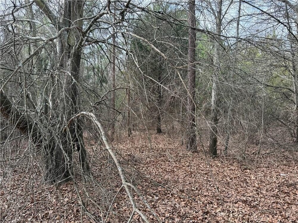 Photo of Mobile Home Lot