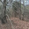 Photo of Mobile Home Lot