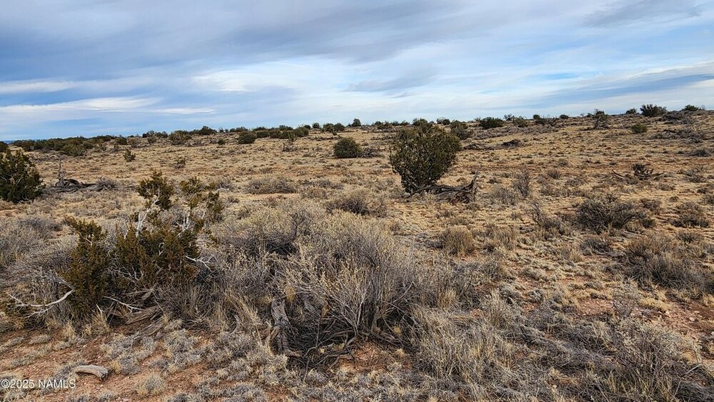 Photo of Mobile Home Lot