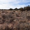 Photo of Mobile Home Lot