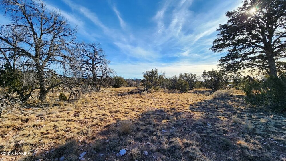 Photo of Mobile Home Lot