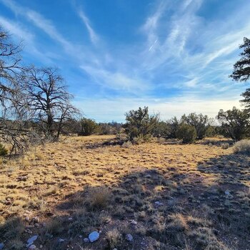 Photo of Mobile Home Lot
