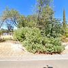 Mobile Home for Sale: 3 Bed 2 Bath 2006 Mobile Home