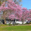 Mobile Home for Sale: 2 Bed 2 Bath 2008 General Coach
