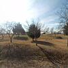 Mobile Home for Sale: 3 Bed 2 Bath 2000 Mobile Home
