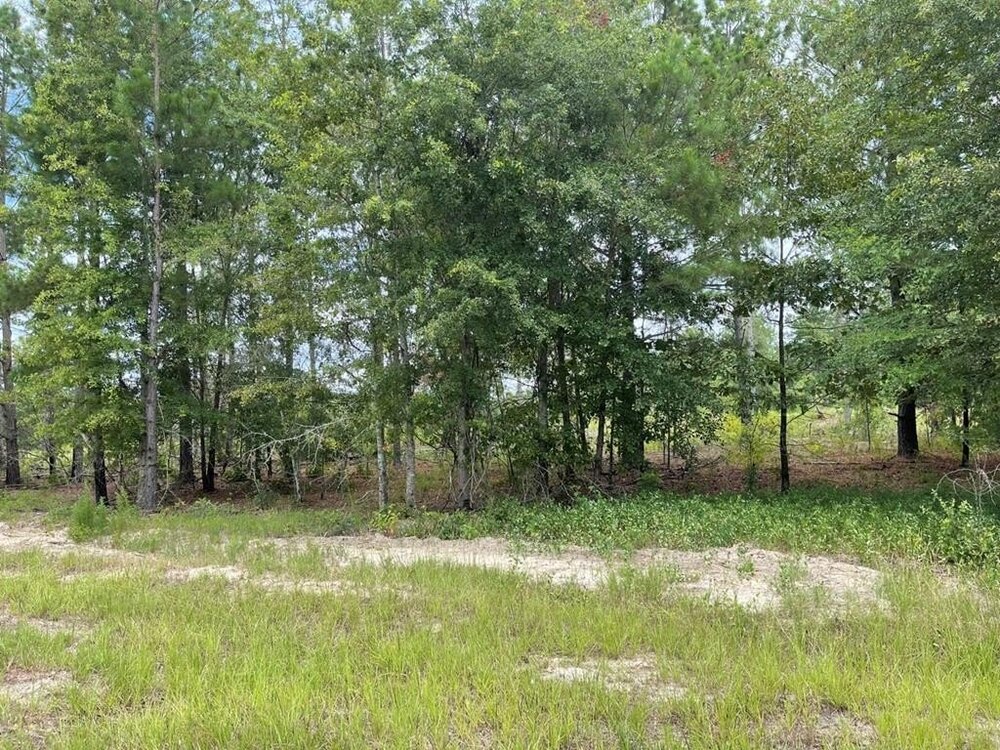 Photo of Mobile Home Lot
