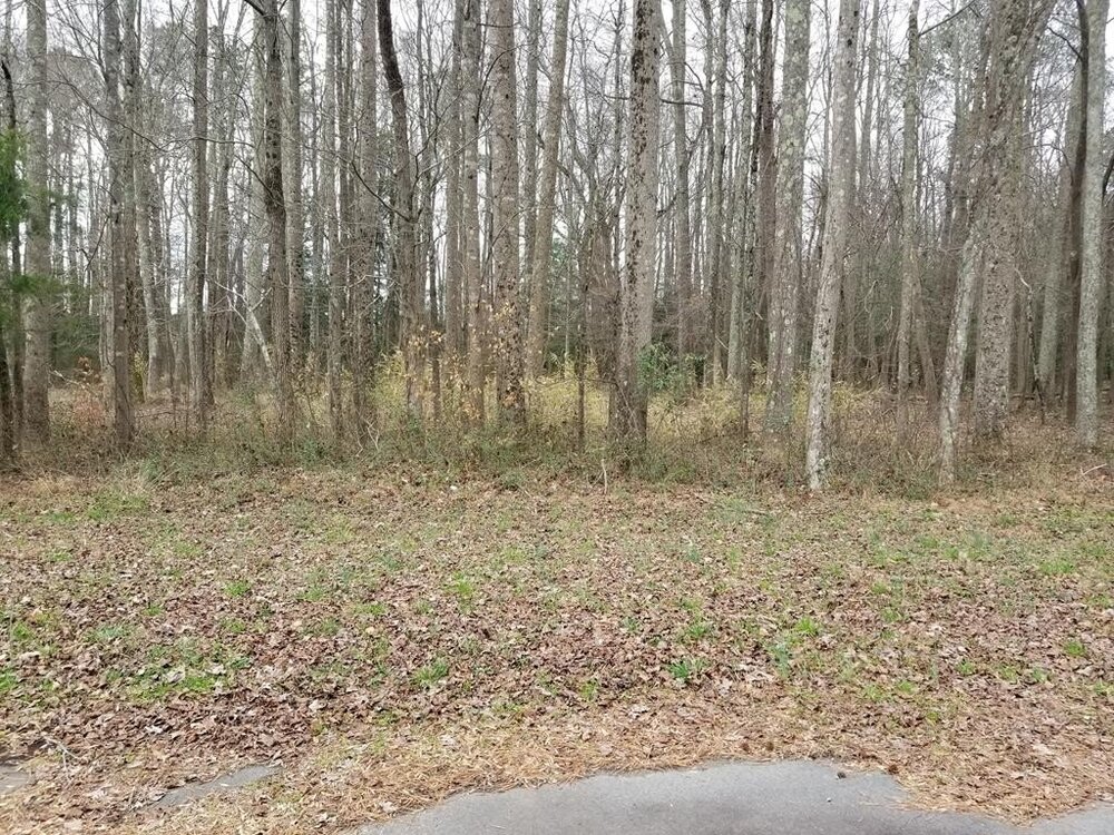 Photo of Mobile Home Lot