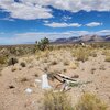 Photo of Mobile Home Lot