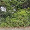 Mobile Home for Sale: 1970 Mobile Home