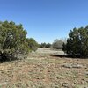 Photo of Mobile Home Lot