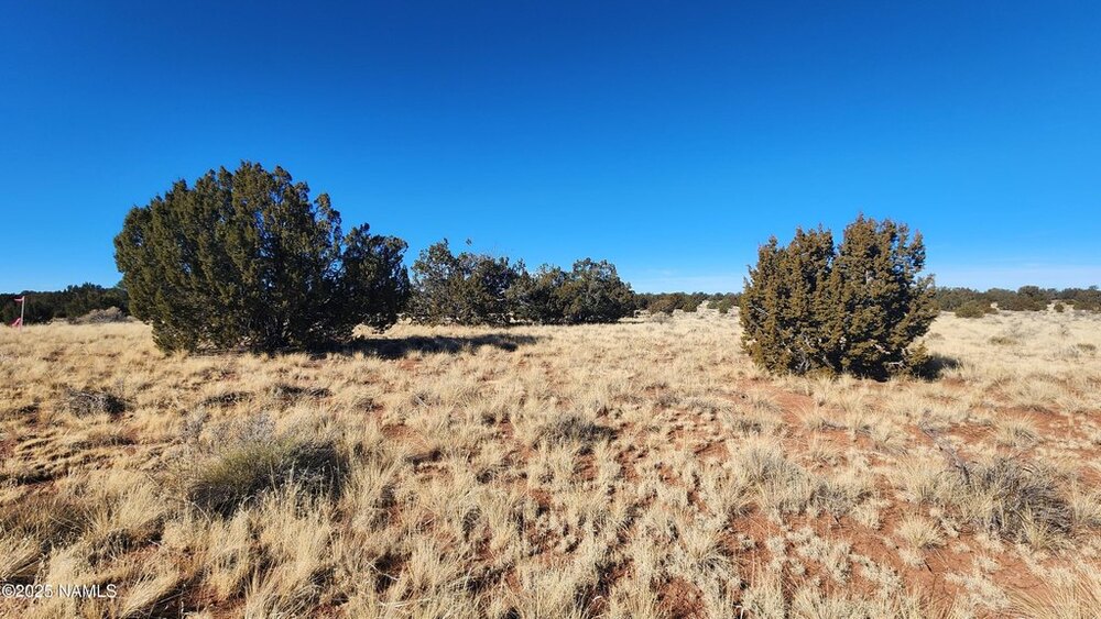 Photo of Mobile Home Lot