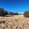 Photo of Mobile Home Lot