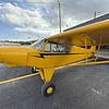 Aircraft for Sale: PIPER SUPER CUB