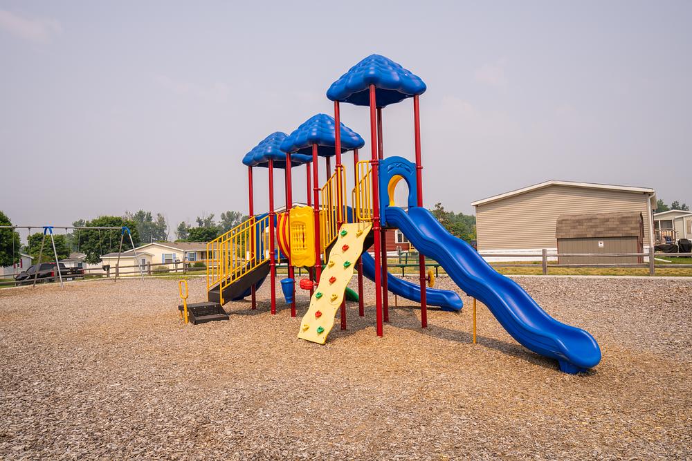 Community Image