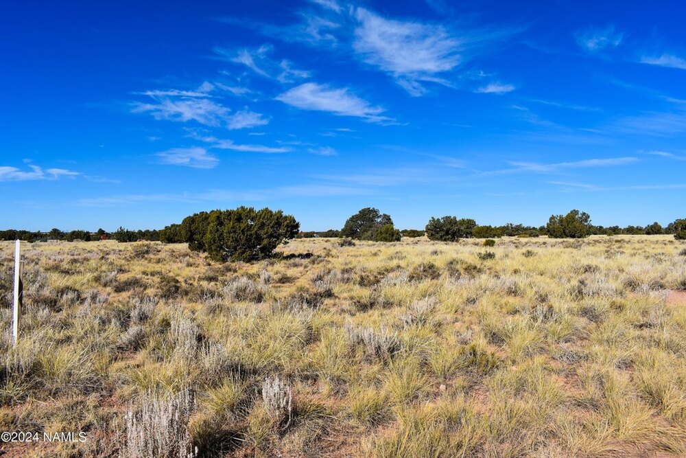 Photo of Mobile Home Lot