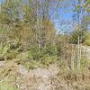 Mobile Home for Sale: 2 Bed 1 Bath 2023 Mobile Home