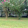 Mobile Home for Sale: 3 Bed 1 Bath 1997 Mobile Home