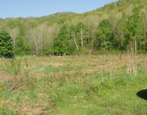 Photo of Mobile Home Lot