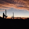 RV Lot for Rent: Desert Serenity, Tucson, AZ