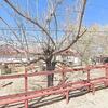 Mobile Home for Sale: Mobile Home