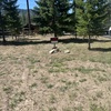 RV Lot for Sale: Shyrock Motorcoach and RV Resort, Superior, MT