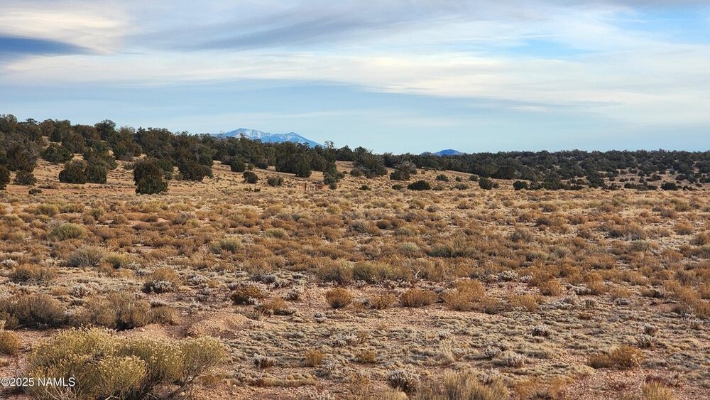 Photo of Mobile Home Lot
