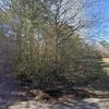 Mobile Home for Sale: 2000 Mobile Home