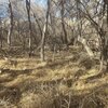 Photo of Mobile Home Lot