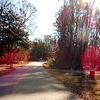 Mobile Home for Sale: 4 Bed 2 Bath 2021 Mobile Home