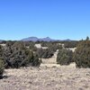 Photo of Mobile Home Lot
