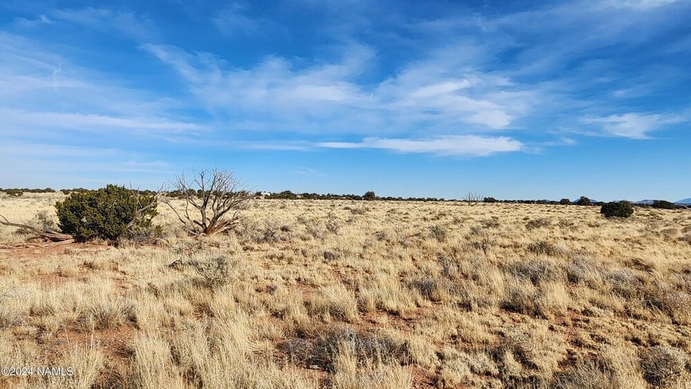 Photo of Mobile Home Lot