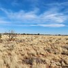 Photo of Mobile Home Lot
