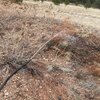 Photo of Mobile Home Lot