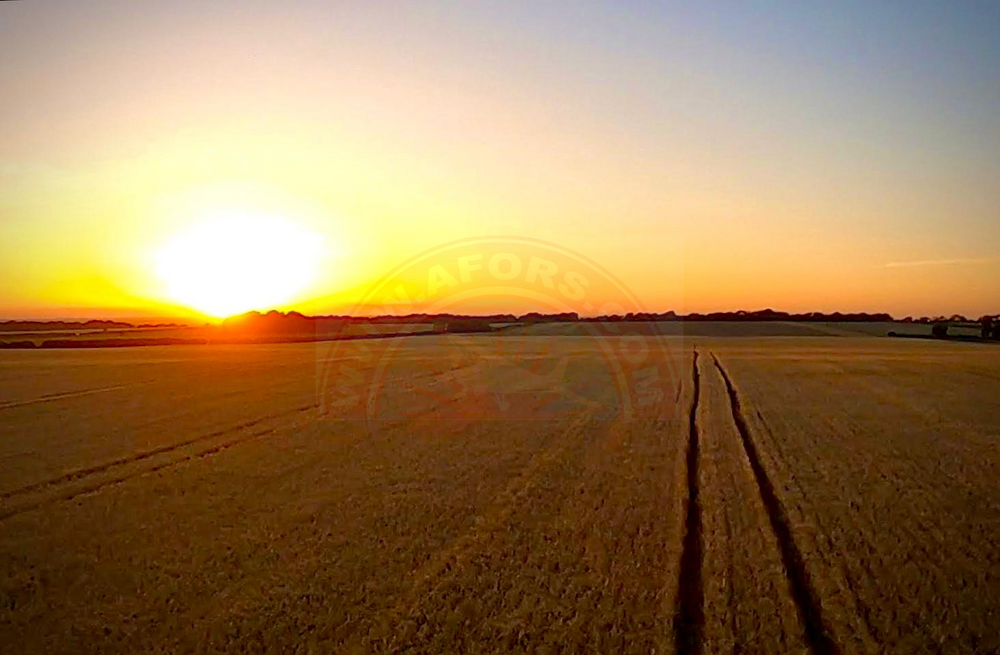 c4be61c2-04f7-11f0-87ea-b4e35605155b