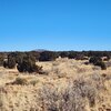 Photo of Mobile Home Lot