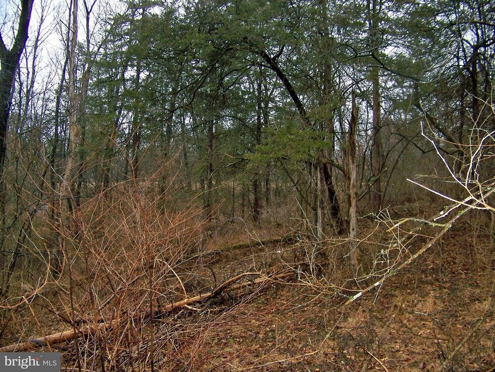 Photo of Mobile Home Lot