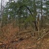 Photo of Mobile Home Lot