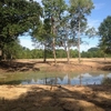 RV Park: Land Of Ease, Athens, TX