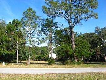 RV lot Steinhatchee