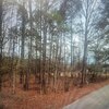 Mobile Home Lot for Sale: Residential Lot-Unrestricted,Single Wide Permitted,Double Wide Permitted,Modular On Frame Permitted,Modular Off Frame Permitted, Hollister, NC