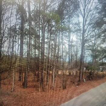 Photo of Mobile Home Lot