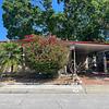Mobile Home for Sale: 2 Bed/1.5 Bath w/Mature Garden in PET FRIENDLY Shady Lane Oaks, Clearwataer, FL