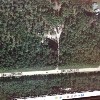 Photo of RV Lot