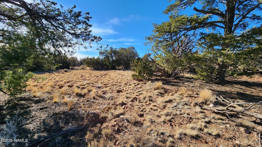 Photo of Mobile Home Lot
