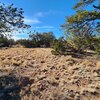 Photo of Mobile Home Lot