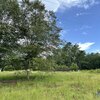 Mobile Home Lot for Sale: Manufactured Lot - Nichols, SC, Nichols, SC