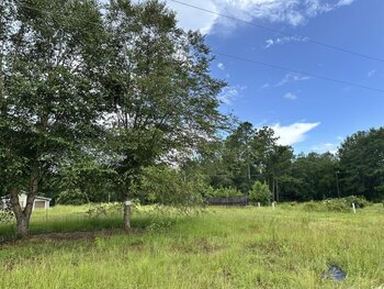 Photo of Mobile Home Lot