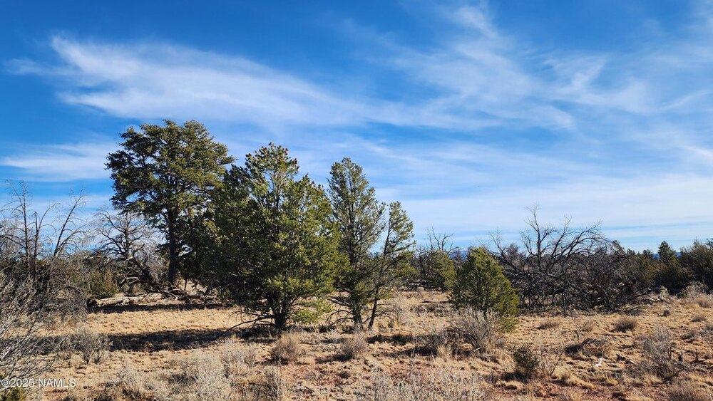 Photo of Mobile Home Lot