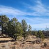 Photo of Mobile Home Lot